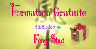 Recevoir Gratuitement la Formation d’Initiation au Feng Shui